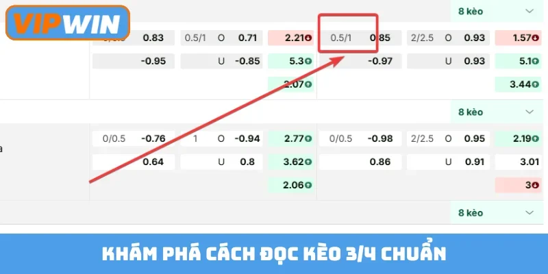 Khám phá cách đọc kèo 3/4 chuẩn
