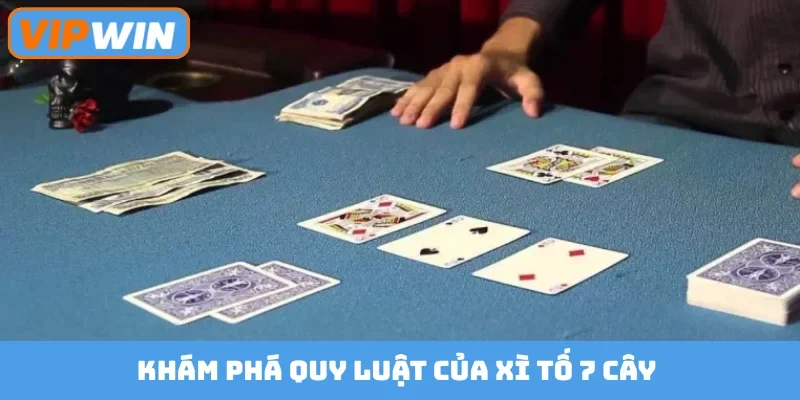 Khám phá quy luật của xì tố 7 cây
