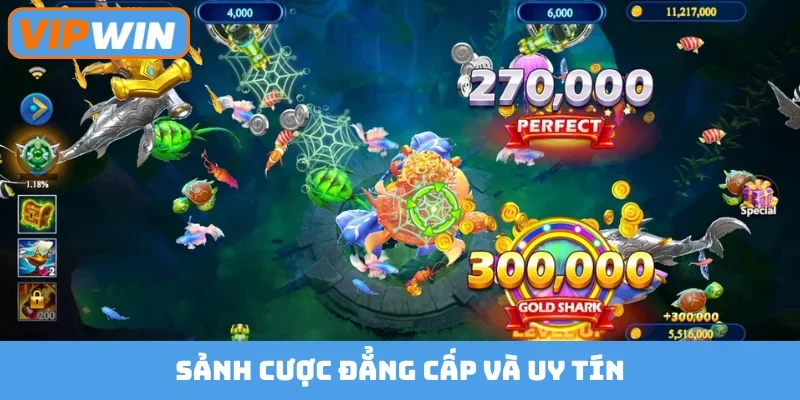 Sảnh cược đẳng cấp và uy tín