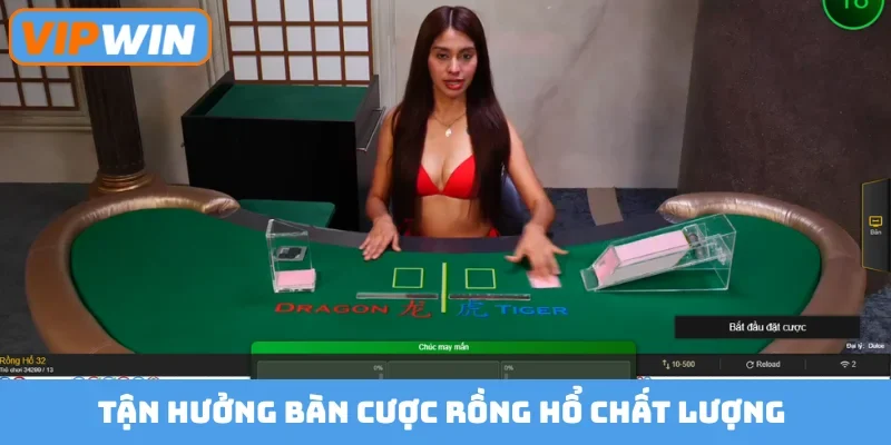 Tận hưởng bàn cược rồng hổ chất lượng